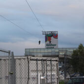  Sproing Pics (12/100)